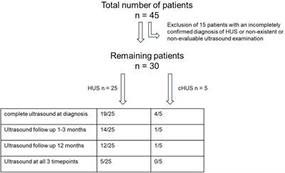 Ultrasound analysis of different forms of hemolytic uremic syndrome in children